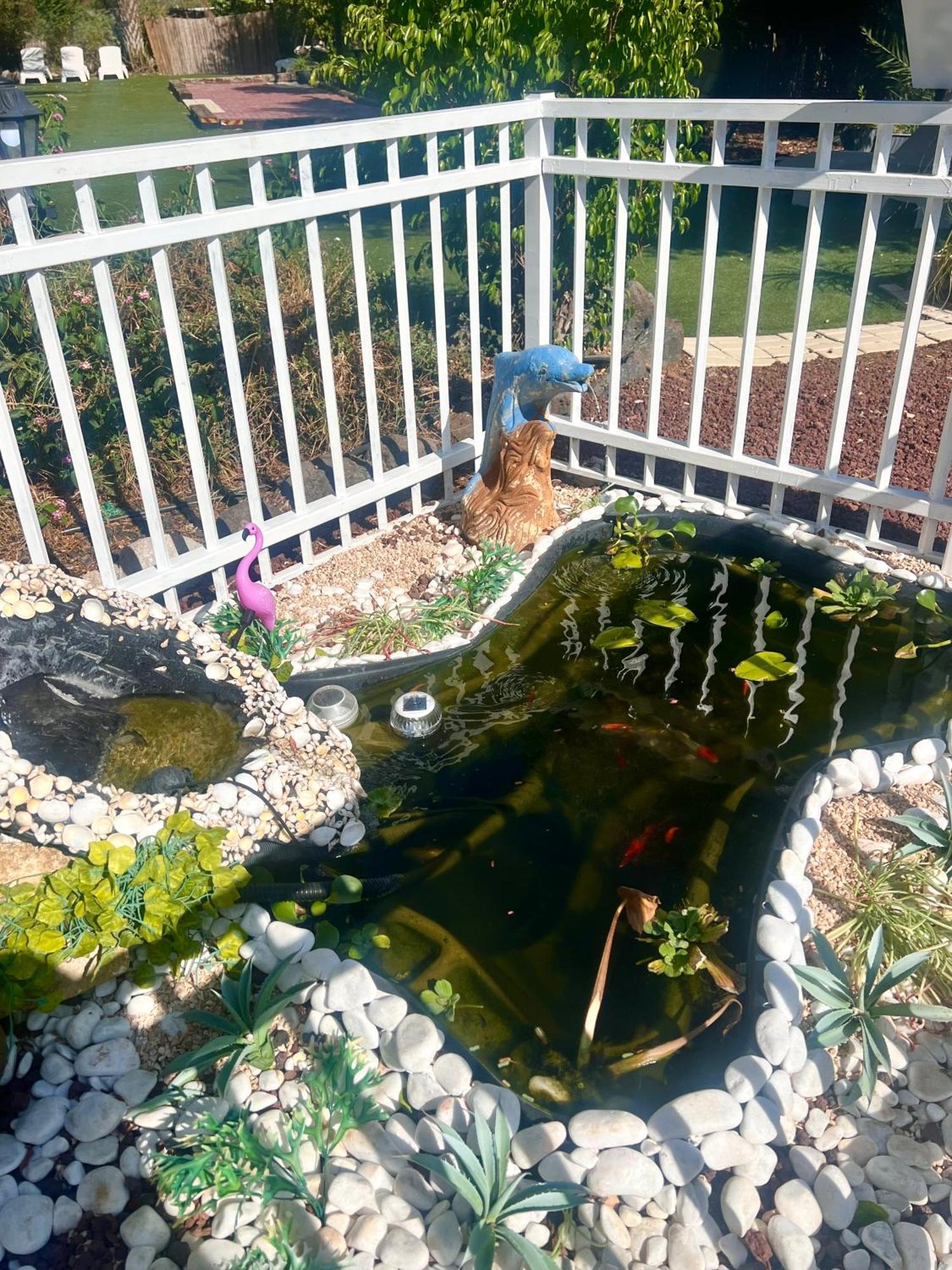 Magical In The Galilee Motel Kiryat Shmona Eksteriør billede